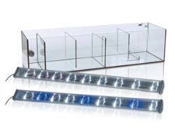 Tanks and cages — as well as lots of accessories